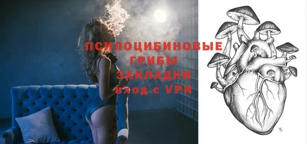 ALPHA PVP Каменск-Шахтинский
