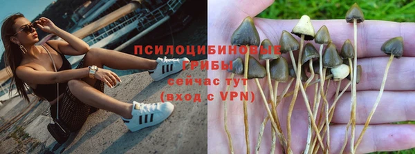 альфа пвп Каменка